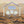 Avatar for Fuglypump